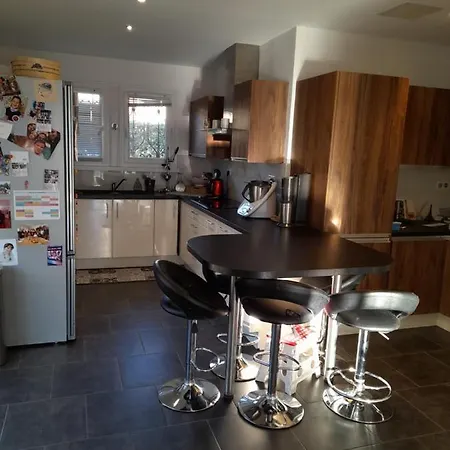 Vue Imprenable Sur Le Lac Du Bourget Villa